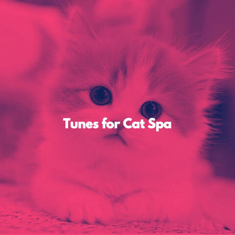 Tunes for Cat Spa