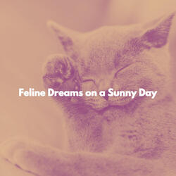 Suave Moods for City Dreams