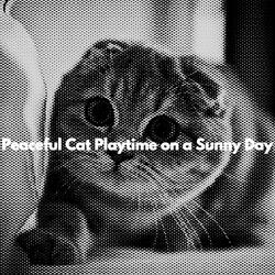 Sophisticated Music for City Ballads