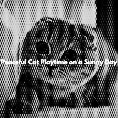 Peaceful Cat Playtime on a Sunny Day
