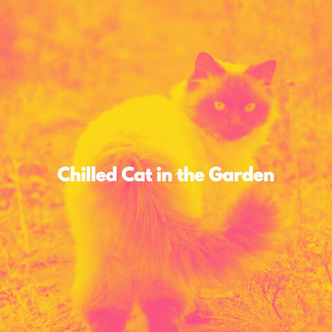 Chilled Cat in the Garden