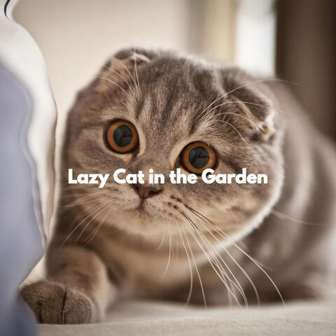 Lazy Cat in the Garden