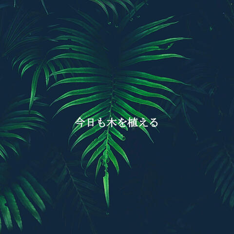 今日も木を植える