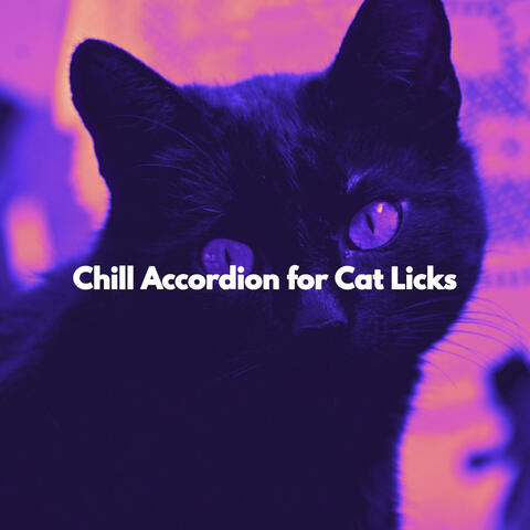 Chill Accordion for Cat Licks