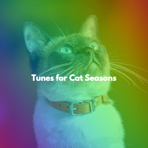 Tunes for Cat Seasons