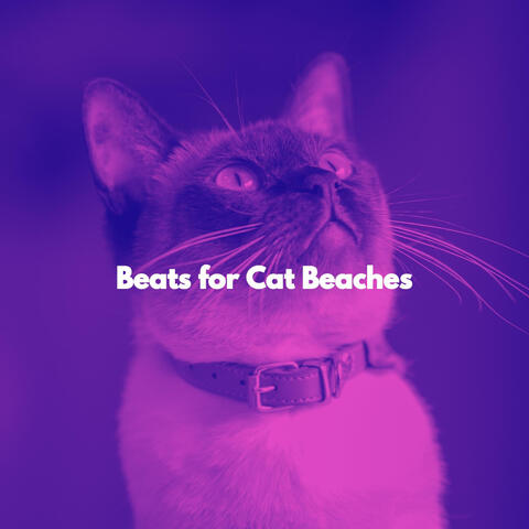 Beats for Cat Beaches