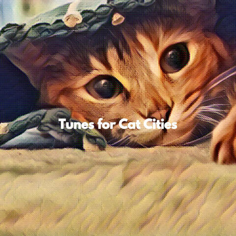 Tunes for Cat Cities
