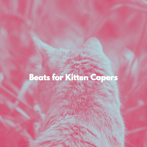 Beats for Kitten Capers