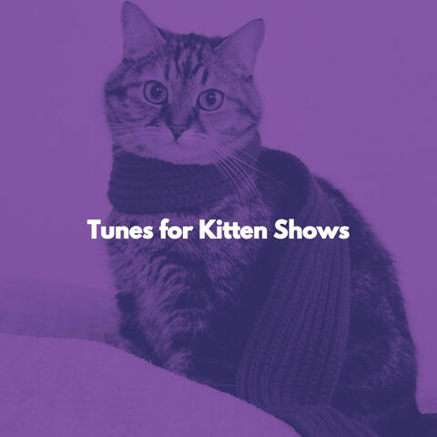 Tunes for Kitten Shows
