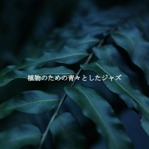 植物のための青々としたジャズ