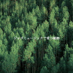 Unique Romantic Weekends