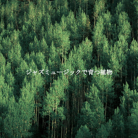 ジャズミュージックで育つ植物