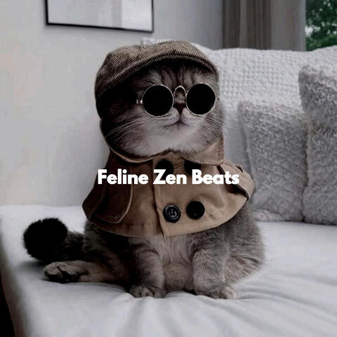 Feline Zen Beats