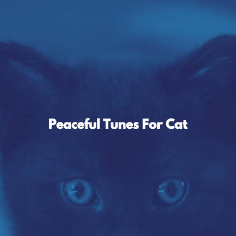 Peaceful Tunes For Cat