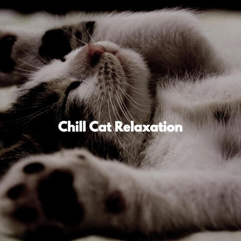Chill Cat Relaxation