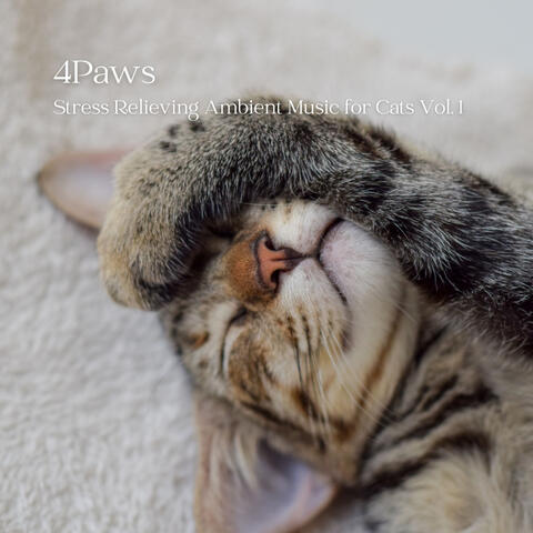 4Paws: Stress Relieving Ambient Music for Cats Vol. 1