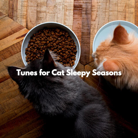 Tunes for Cat Sleepy Seasons