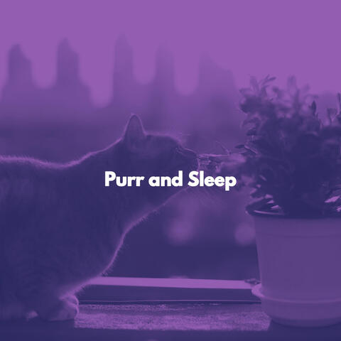 Purr and Sleep