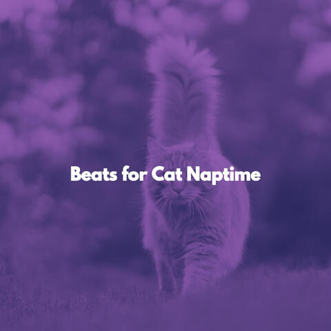 Beats for Cat Naptime