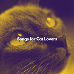 Stellar Stylish Cities