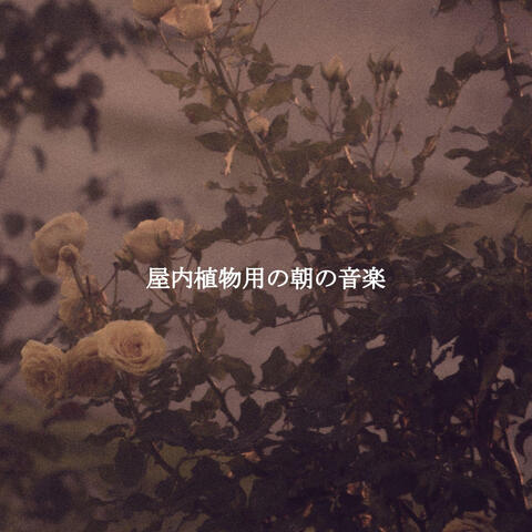 屋内植物用の朝の音楽