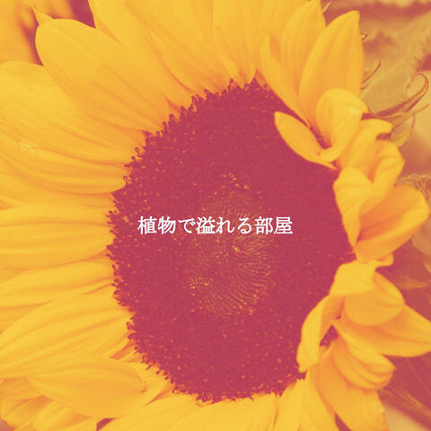 植物で溢れる部屋