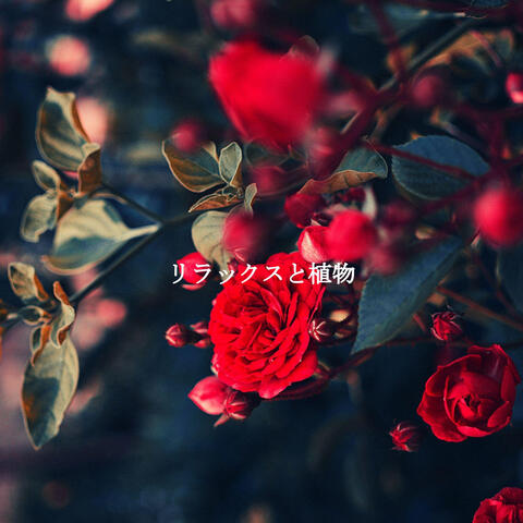 リラックスと植物