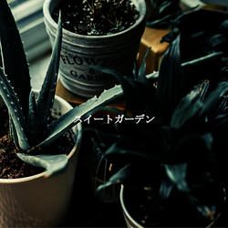 Pulsating Positive Daydreams