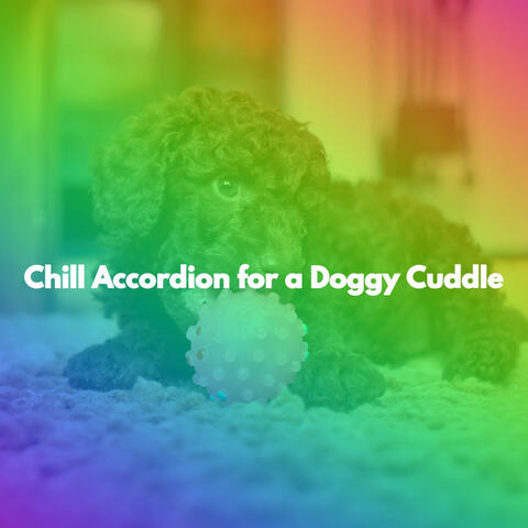 Chill Accordion for a Doggy Cuddle