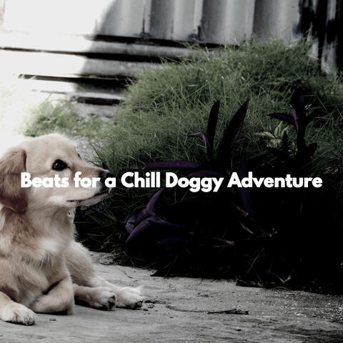 Beats for a Chill Doggy Adventure