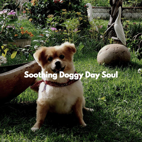 Soothing Doggy Day Soul
