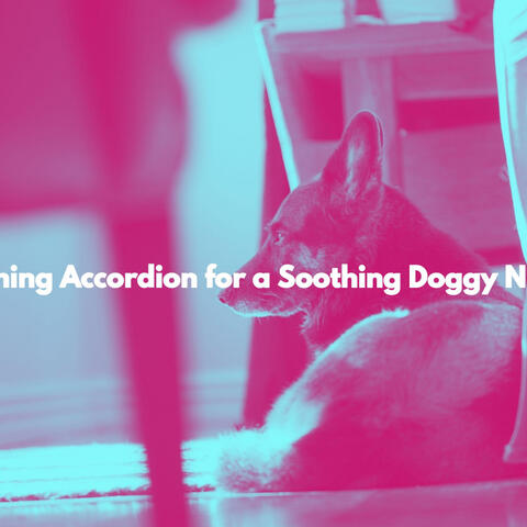 Soothing Accordion for a Soothing Doggy Nuzzle