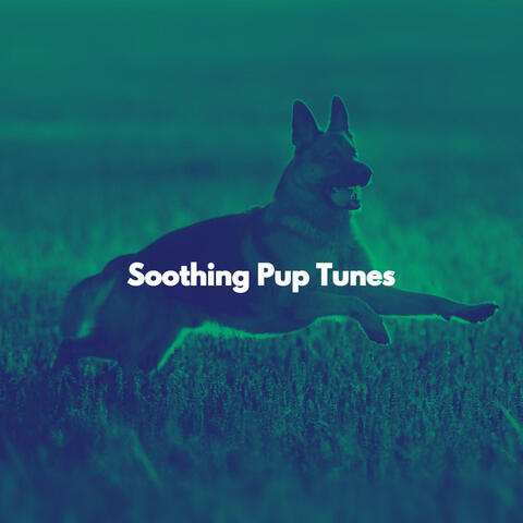 Soothing Pup Tunes