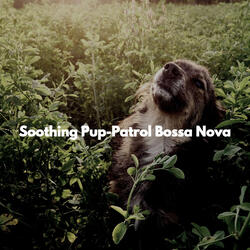 Understated Jazz Big Band - Vibe for Lattes with Brunch