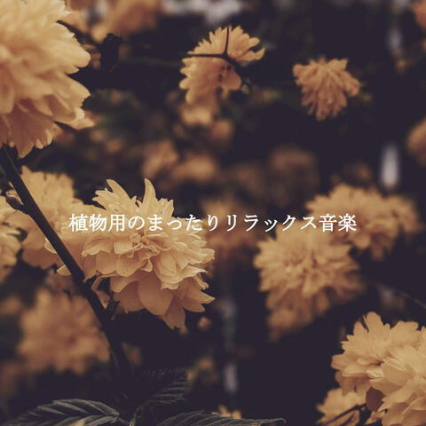 植物用のまったりリラックス音楽