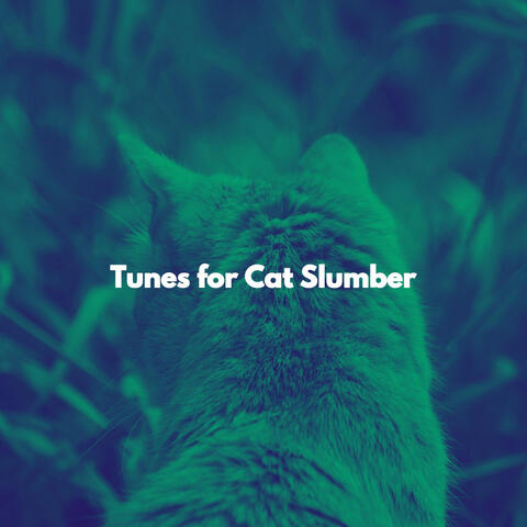 Tunes for Cat Slumber