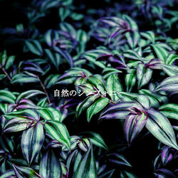 Uplifting Tenor Saxophone Solo - Vibe for Relaxing Together