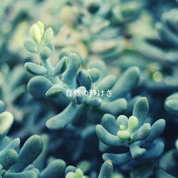 Groovy Music for Romantic Weekends