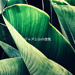 Pulsating Ambience for Positive Daydreams