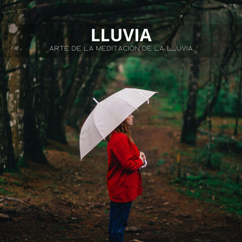 Lluvia: Arte De La Meditación De La Lluvia