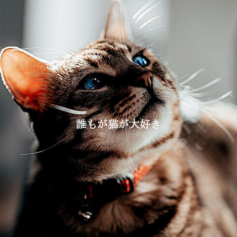 誰もが猫が大好き