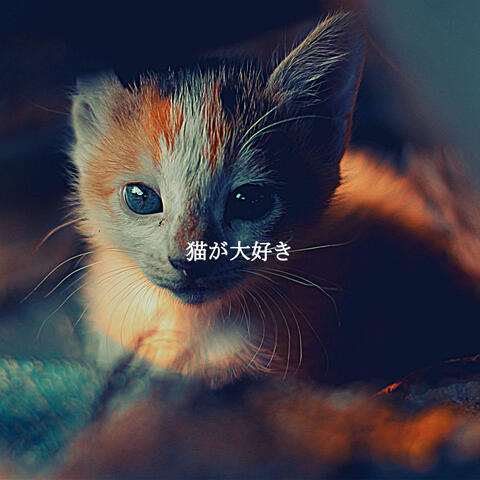 猫が大好き