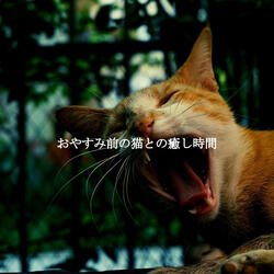 Fashionable Ambiance for Melbourne Coffee Roasters