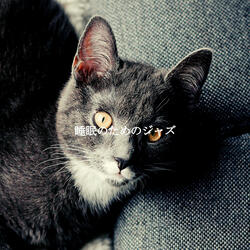 Divine Music for Rome Espresso Bars