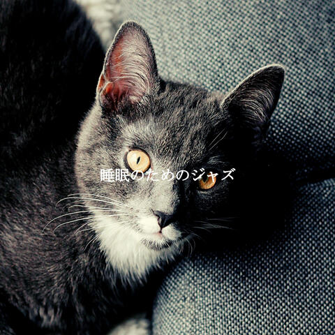 睡眠のためのジャズ