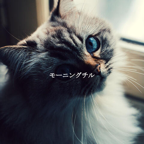 モーニングチル