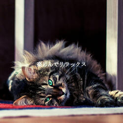 Luxurious Smooth Jazz Saxophone - Vibe for Sydney Coffeehouses