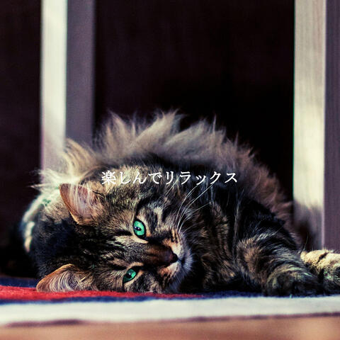 楽しんでリラックス