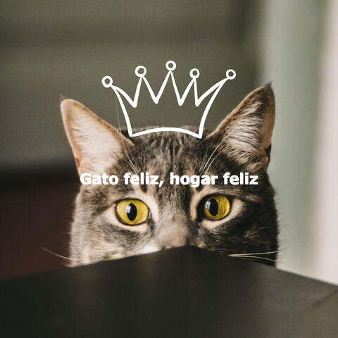 Gato feliz, hogar feliz