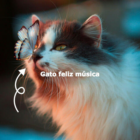 Gato feliz música